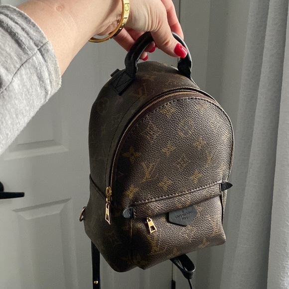 LV Palm Spring Mini - Picture 3 of 15